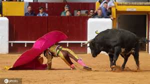 与大公牛在西班牙斗牛高清图片下载-正版图片504602585-摄图网