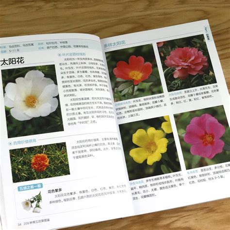花图鉴图片