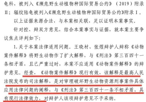 男子网购陆龟被判三年，新司法解释出台十天后获无罪_澎湃号·媒体_澎湃新闻-The Paper