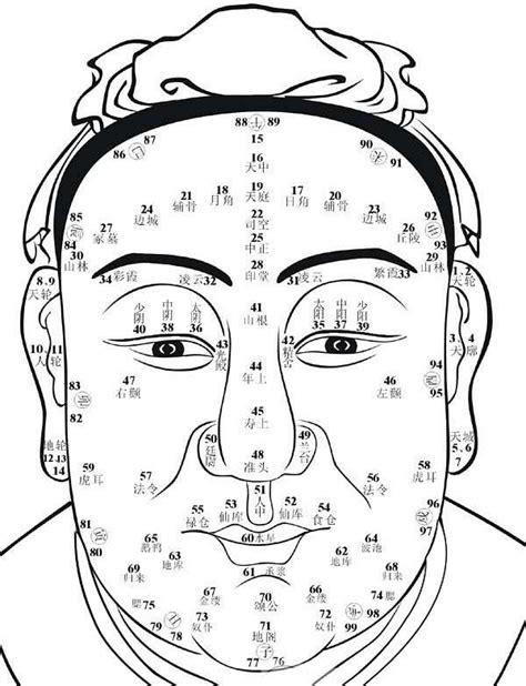 面相图解大全图片