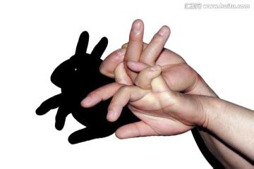 兔子手影图片