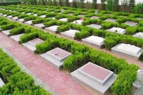 公墓实景展示四十二_万州公墓_【万州神龙生态陵园】