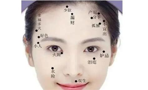 詹姆斯·劳顿 的图像结果