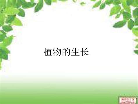 植物生长观察记录表_文档之家