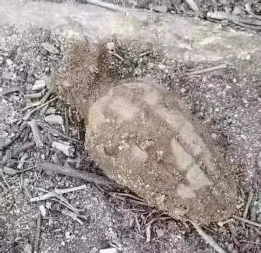 河南一村庄修路竟然挖出大石龟，整块石头雕刻而成，背上无石碑|河南省|村庄_新浪新闻