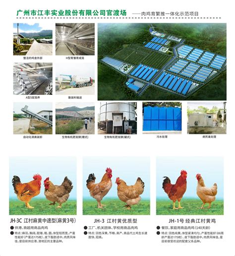中国农业大学新闻网 媒体农大 提升蛋肉鸡精细化育种水平，我国首台种鸡性能智能测定系统投入应用