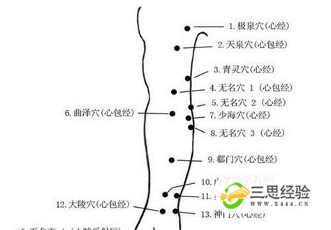 312经络锻炼法 经验总结(1)_三思经验网