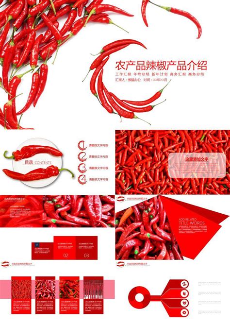 辣椒酱品牌logo设计_REME锐镁品牌-站酷ZCOOL
