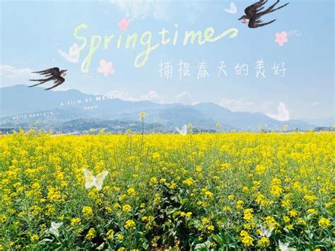 【嘉园微海报】飞花令：最是一年春好处-厦门大学嘉庚学院