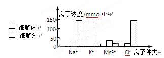 下图表示一个动物细胞内外不同离子的相对浓度.由图分析可知进入细胞内的物质及物质的运输方式是A.K+和Mg2+.主动运输B.K+和Na+.协助 ...