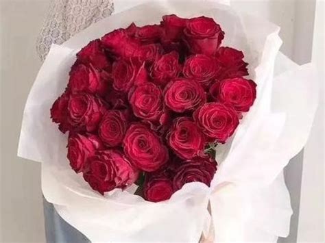 101朵红玫瑰，一生爱你是唯一 - 六朵花