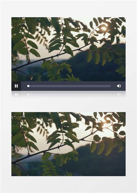 郊外清晨树叶随风飘动实拍视频素材实拍视频素材模板下载_实拍_图客巴巴