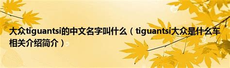 大众tiguantsi的中文名字叫什么（tiguantsi大众是什么车相关介绍简介）_公会界