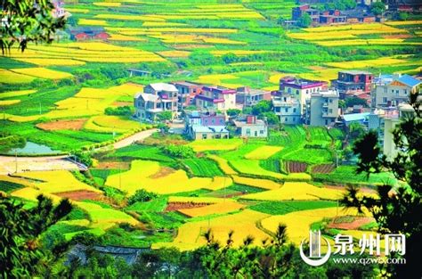 规划引领促进蜕变 建设美丽乡村感受多彩洛江 - 县市新闻 - 东南网泉州频道