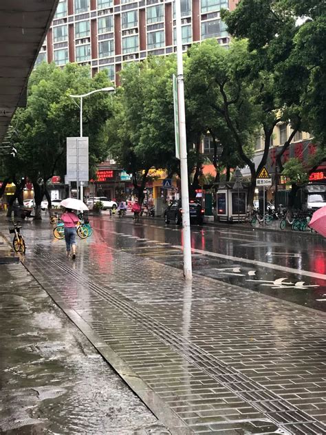今天12时36分 长沙县气象局发布暴雨黄色预警信_百家天气预报网