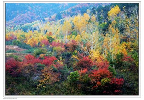 秋日的三台山非一般美丽，层林尽染如诗如画-旅游先遣队-杭州19楼