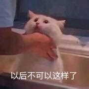 吉川流(微博)图片