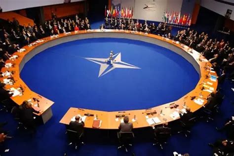 北约宣布将暂停参与《欧洲常规武装力量条约》_凤凰网