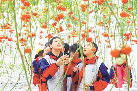 重庆梁平：“小微湿地+”成为全国湿地生态保护样板-上游新闻 汇聚向上的力量
