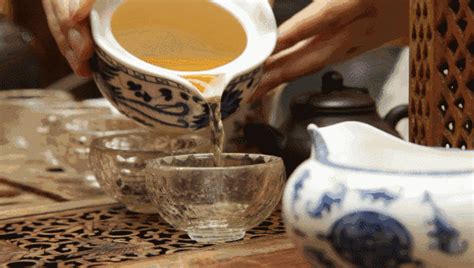 喝了这么多年普洱茶没想到喝错了，喝生普的这些禁忌你都了解吗？