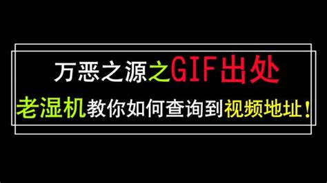 GIF出处图片