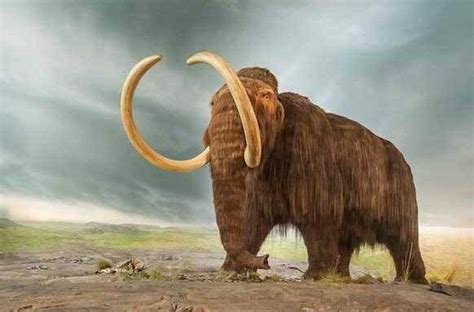 史前十大远古巨兽：史前物种真心让人心惊胆战（图）_知秀网
