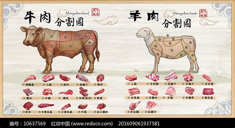 牛羊肉分割图设计图片下载_红动中国