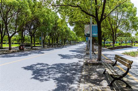 上海华东政法大学校园路高清图片下载-正版图片500497119-摄图网