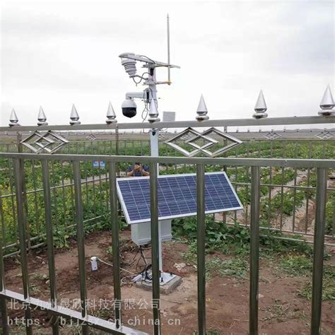 苗情监测预警系统ZDNTA6 沃恩特 运用农作物苗情监测仪