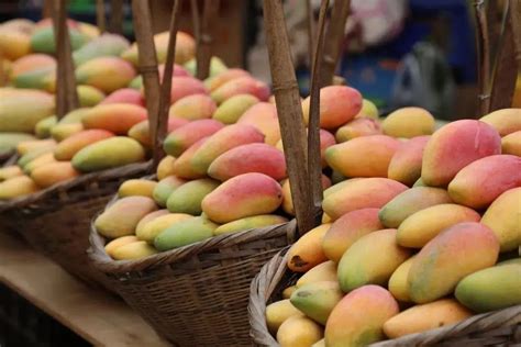 来海南必买的十大特产水果，值得买的有哪些？_椰岛农事