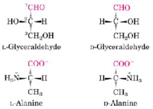 氨基酸的L型和D型怎么判断啊？？？？ - 知乎