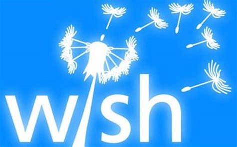 Wish新手开店：Wish开店注册流程图文教程 - 跨境电商导航网