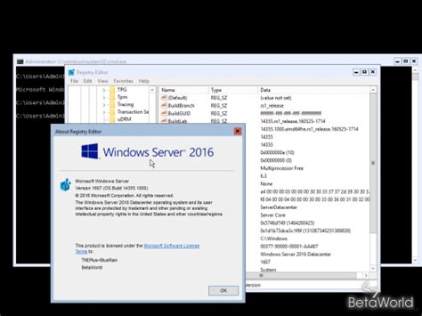 Windows Server 2016:10.0.14355.1000.rs1 release.160525-1714 - BetaWorld 百科