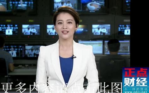 重庆新闻联播采访亿赞普黄苏支20140827