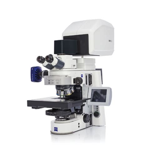 体视显微镜 ZEISS Stemi 508----中国科学院脑科学与智能技术卓越创新中心