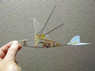 扑翼机：真正能够挥动“翅膀”的飞行器_鸟类