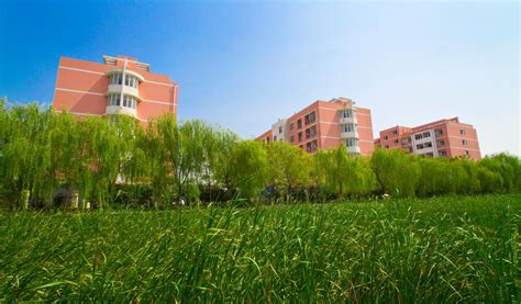 各位请问谁知道河南大学新校区——金明校区的具体地址是什么路几号？