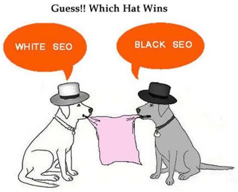 白帽与黑帽的SEO之争 - 卢松松博客