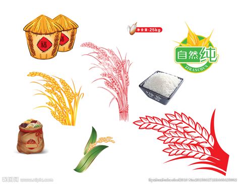 五常大米是中国最好的大米吗？|腾泰资讯|深圳市腾泰农业科技有限公司