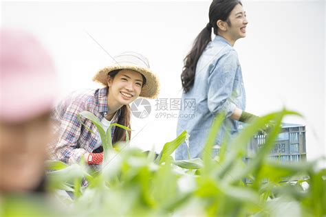 农妇在地里捧着稻谷高清摄影大图-千库网