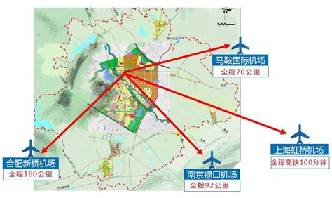 明光“五大森林”行动激发绿色发展潜力_滁州市林业局