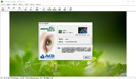 acdsee3.1绿色版下载-acdsee3.1中文完美版下载sr1美化版-极限软件园