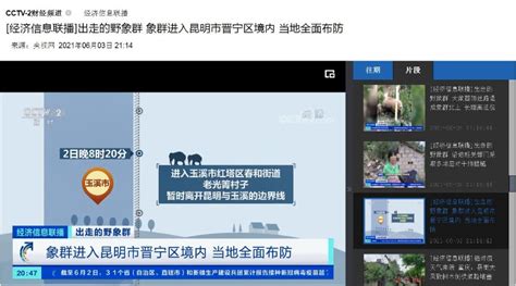 开屏新闻-“餐饮安心码”云平台在晋宁区推广使用