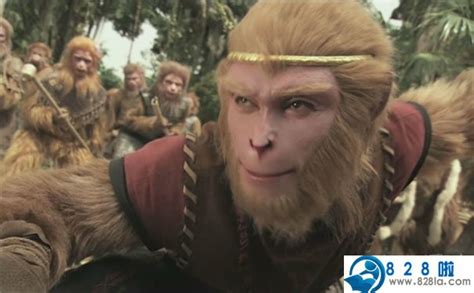 高颜值“孙猴子”扎堆猴年大银幕|片名|徐克_凤凰娱乐