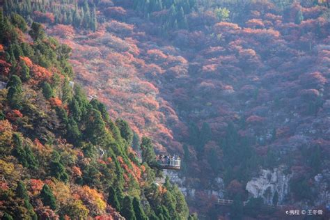 石门坊红叶最佳时间2022_旅泊网