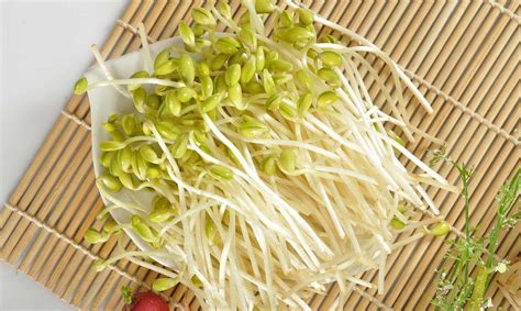 六种在添加防腐剂特别多的蔬菜，中国人天天吃|保质期|防腐剂|蕨菜_新浪新闻