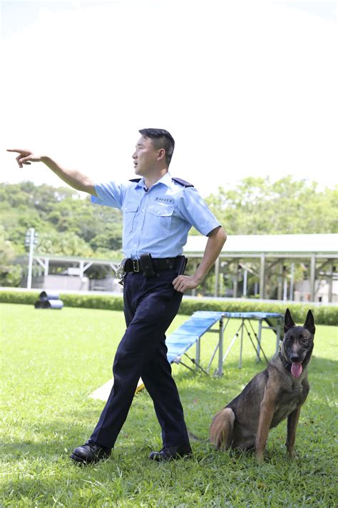警界奇兵：警犬训导员和“无言的战友”|警犬_新浪新闻