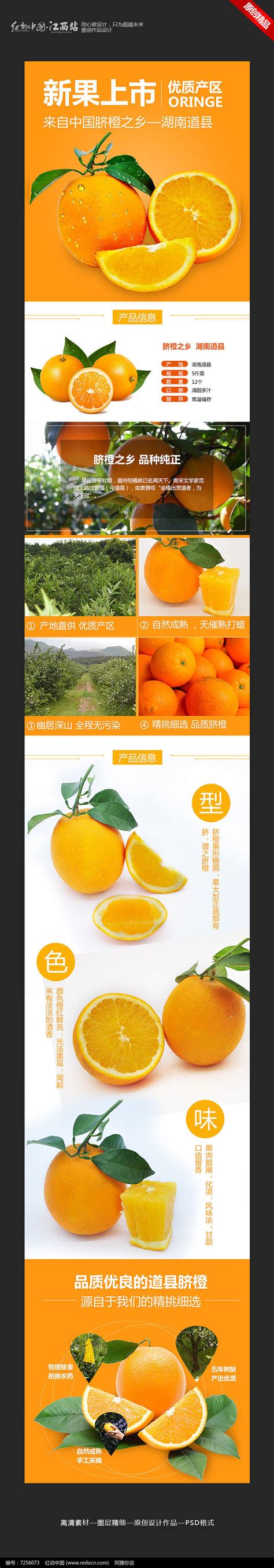 橙子详情页_红动网