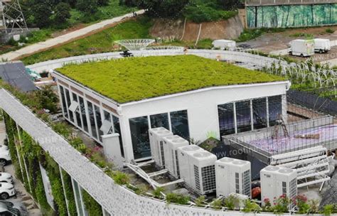 最全屋顶绿化的技术及实施要点 -长景园林网