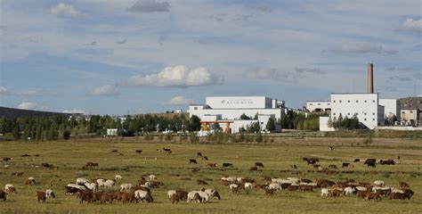 2020内蒙古自治区民营企业500强名单 伊利实业集团登顶榜首_GDP_第一排行榜